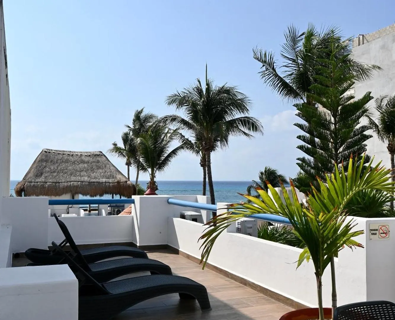 Pelicano Inn Playa Del Carmen - Beachfront Hotel 3*,  Mexico
