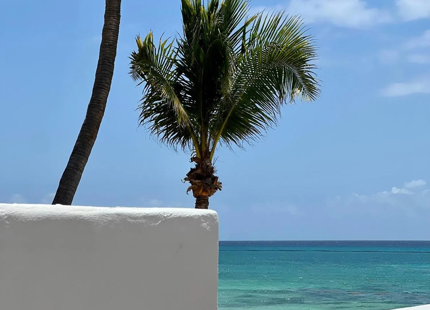 Pelicano Inn Playa Del Carmen - Beachfront Hotel Mexico