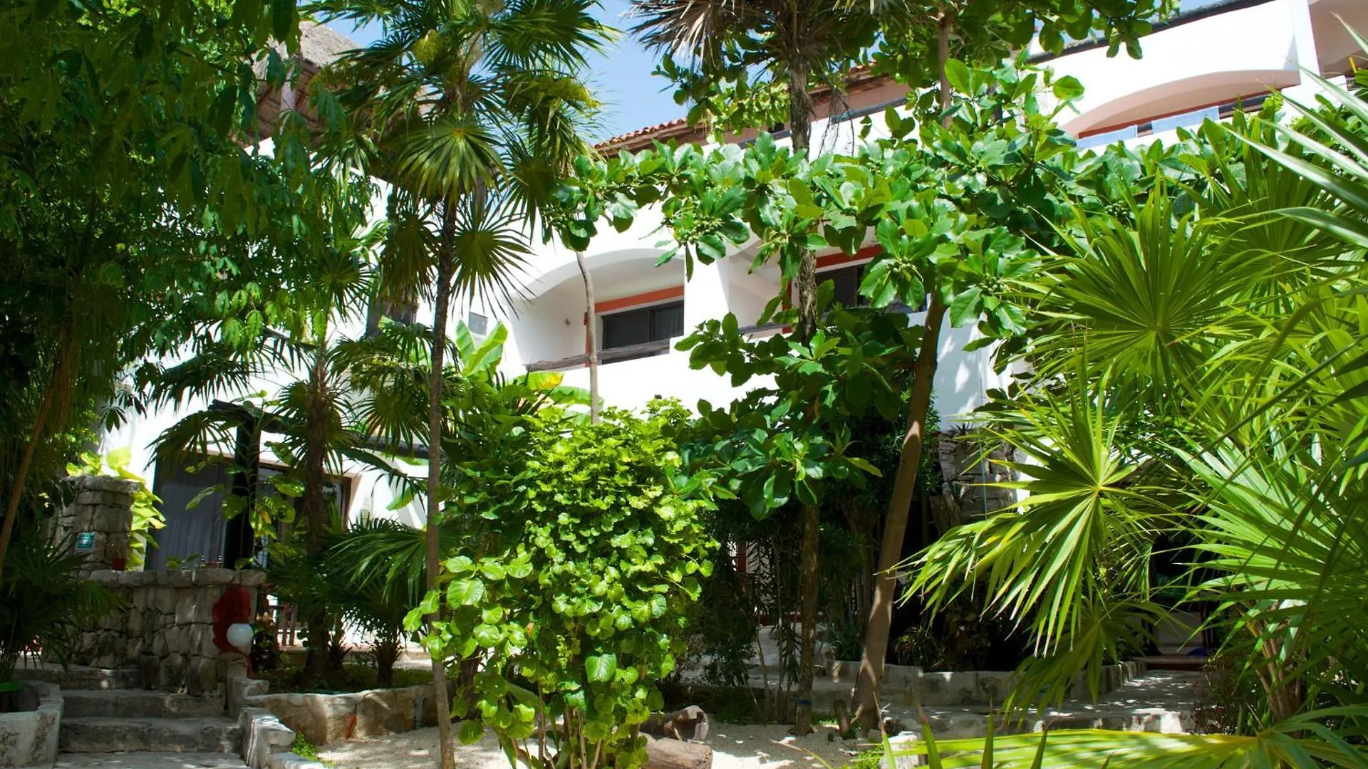 Pelicano Inn Playa Del Carmen - Beachfront Hotel